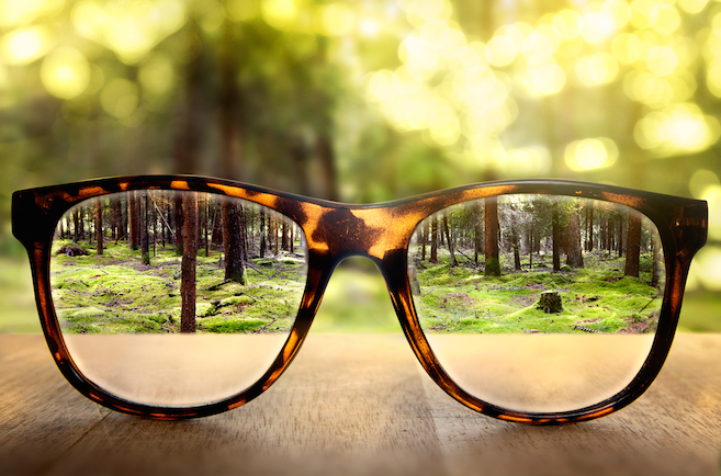 Eye Glasses and Woods Photo
