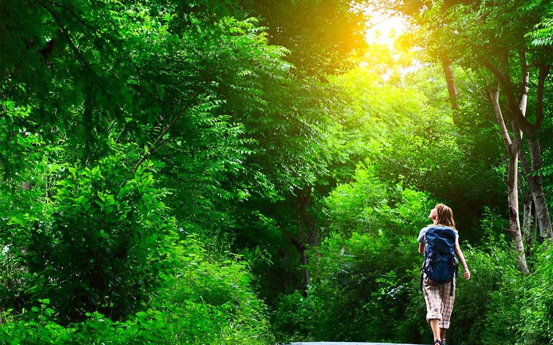 woman walking in green woods